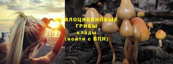 гашик Белокуриха