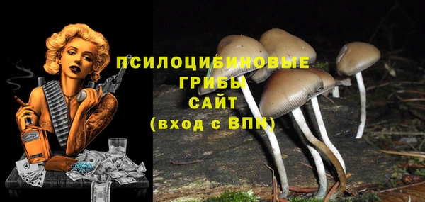 гашик Белокуриха