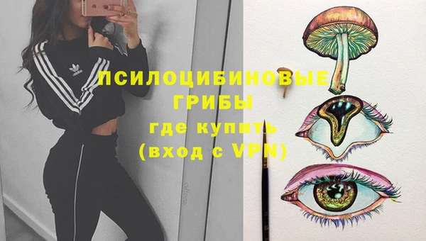 дмт Белоозёрский