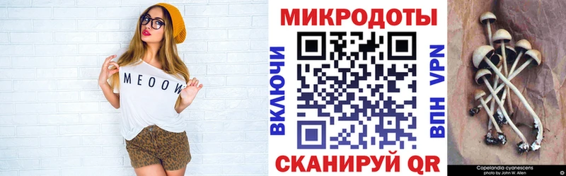 Псилоцибиновые грибы Magic Shrooms  купить наркоту  Верхняя Тура 